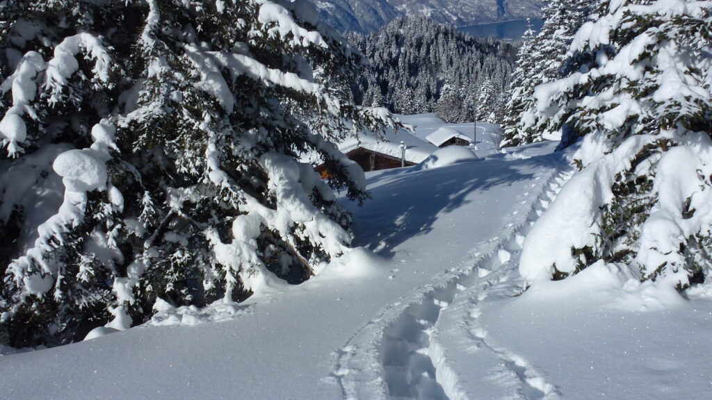 Datenschutzerklärung