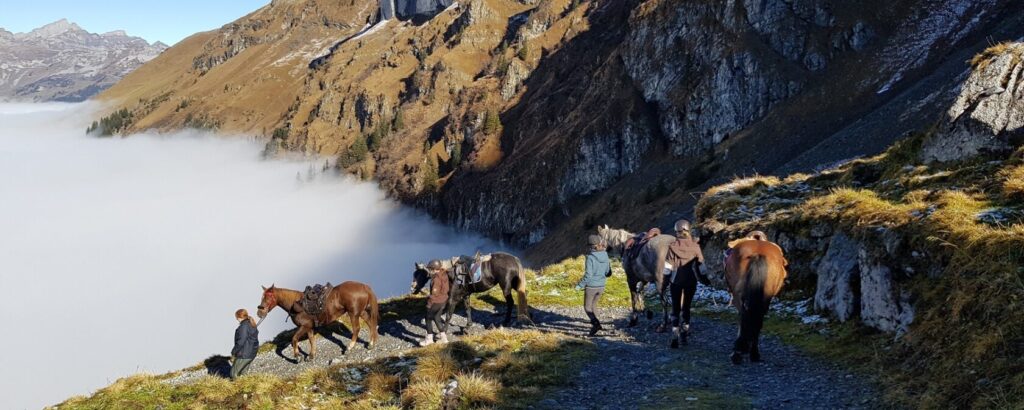 Shavina Auszeit mit Tieren