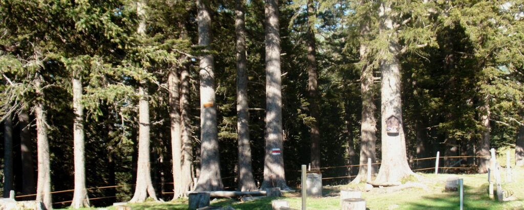 Picknickplatz Gampelen