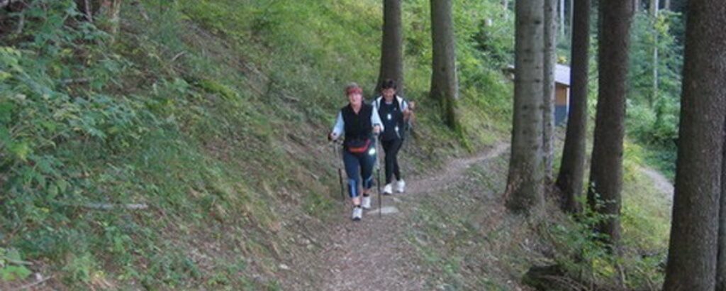 Haldi Walking-Paradies