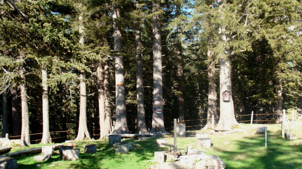 Picknickplatz Gampelen