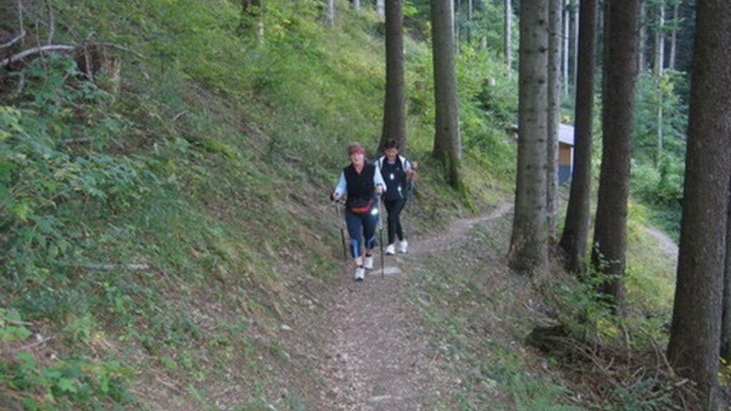 Haldi Walking-Paradies